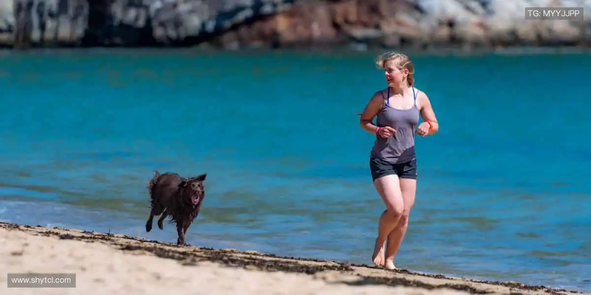 实时直击，弹幕狂欢！💻🎉 体育直播，就要和千万人一起尖叫！